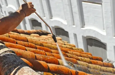 Nettoyage de toitures - Mauvezin-sur-Gupie